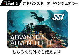 AAアドバンスド アドベンチュアラーのCカード画像