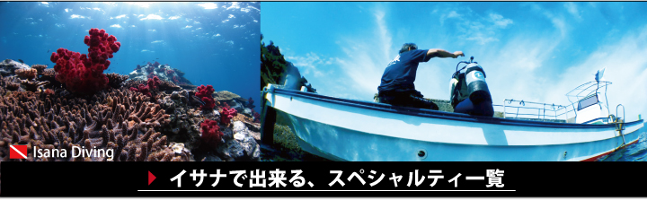 新しい世界を発見、スペシャルティ