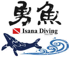 イサナtopへ移動