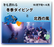 年中開催、ファンダイビング。冬も潜りますが、北西の風について