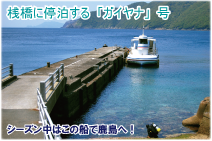 桟橋に停泊する船、この船で無人島鹿島に渡ります